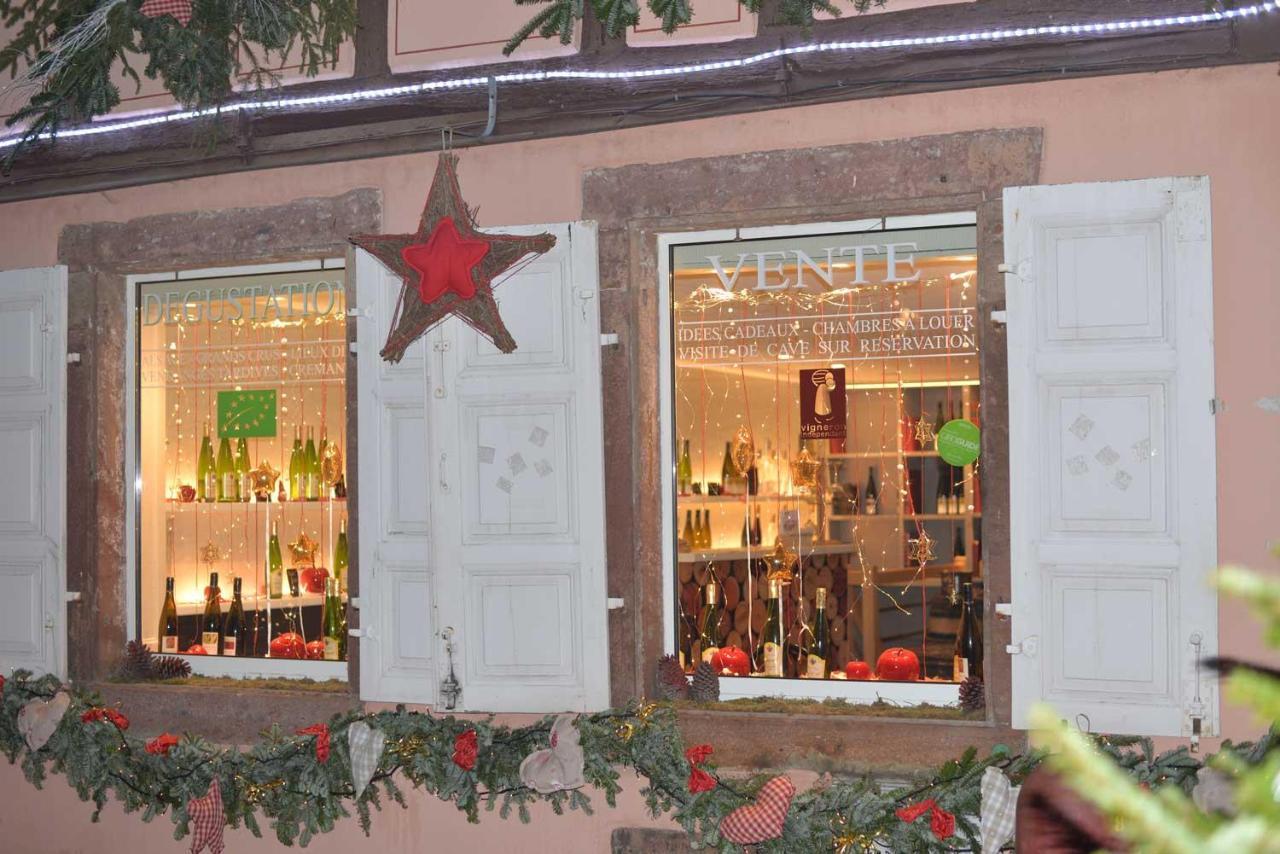 CHEZ MYRIAM Bed&Breakfast studio Parme Colmar Exterior foto